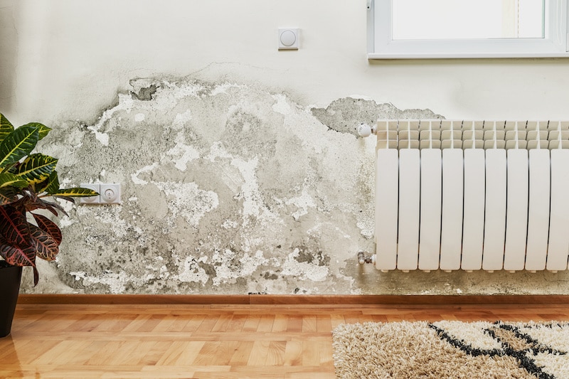 Peinture et enduit décollés par l'humidité au-dessus d'un radiateur