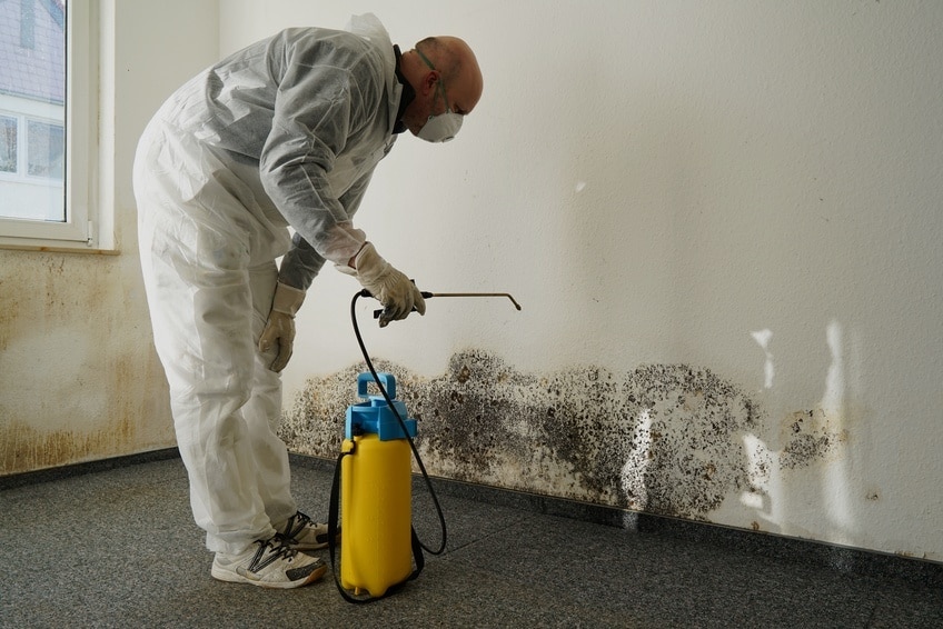 Technicien en combinaison traitant les moisissures au bas d'un mur