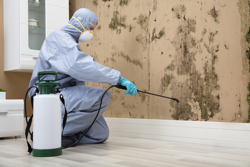 Technicien en tenue de protection pulvérisant un traitement sur un mur moisi